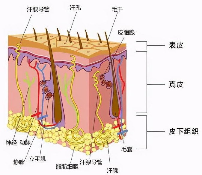 微信图片_20220608152442.png