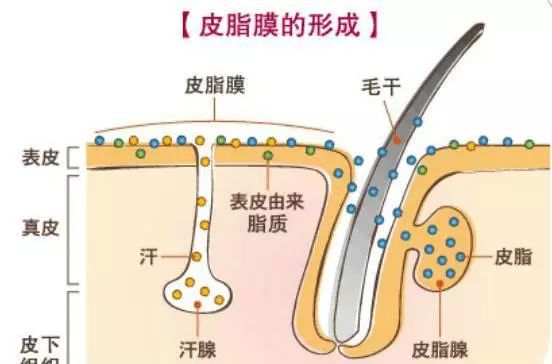 微信图片_20220612124558.jpg