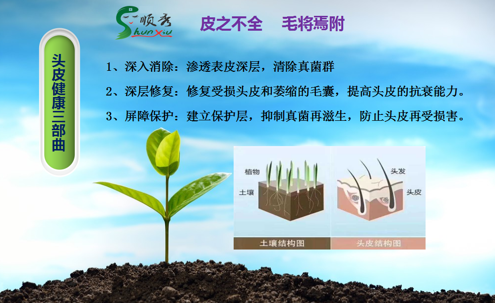 皮之不存毛将焉附