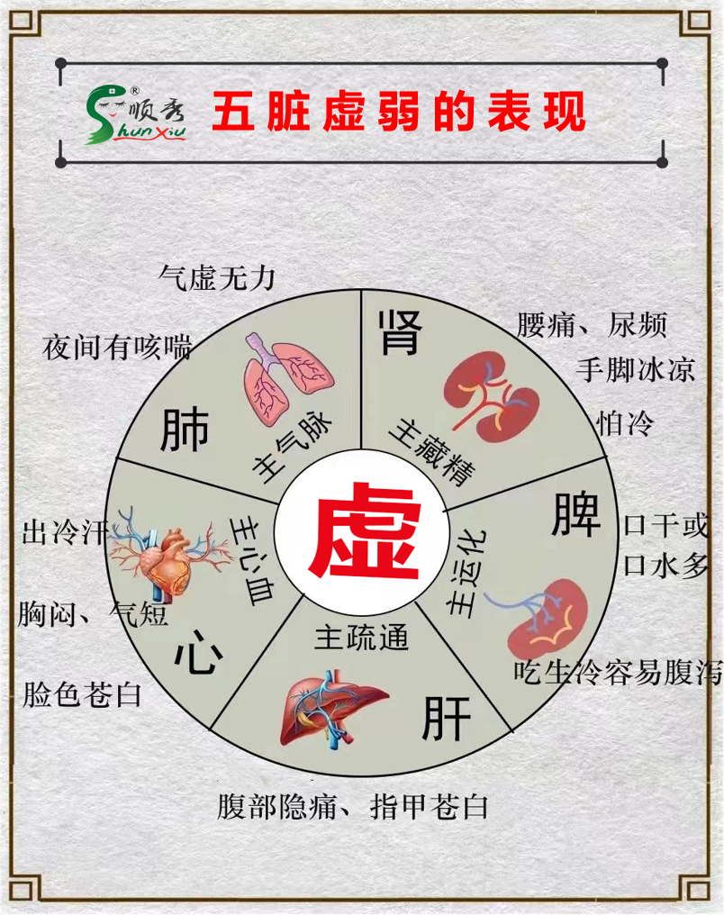五脏图